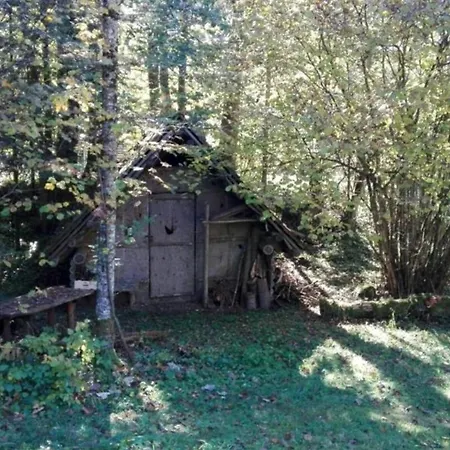 Ferienhaus Roman *