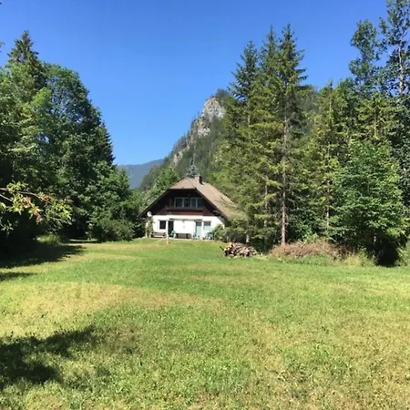 Ferienhaus Ferienhaus Roman