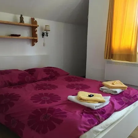 Ferienhaus Roman Holiday home