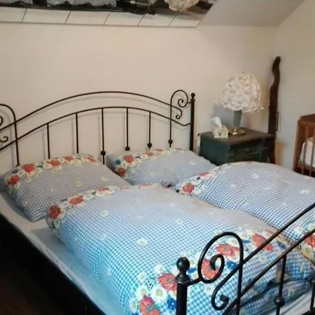 Ferienhaus Roman Holiday home *